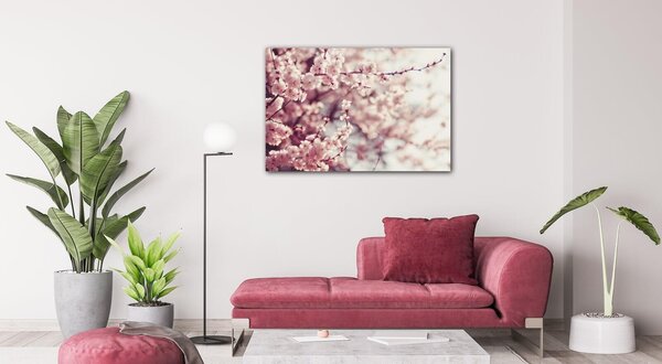 Impresi Tablou Light pink blossom on the tree - 60 x 40 cm