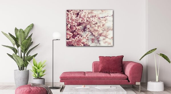 Impresi Tablou Light pink blossom on the tree - 90 x 70 cm
