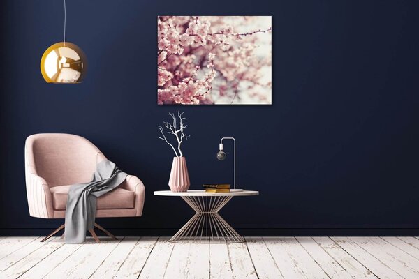 Impresi Tablou Light pink blossom on the tree - 90 x 70 cm