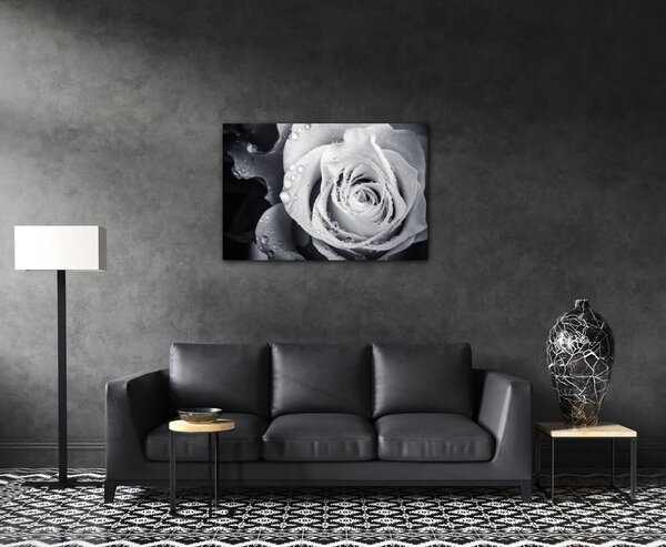 Impresi Tablou Black and white rose with drops of water - 60 x 40 cm