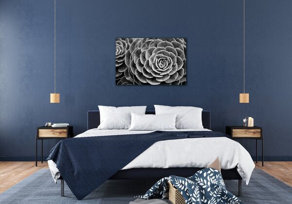 Impresi Tablou Black and white blossom - 60 x 40 cm