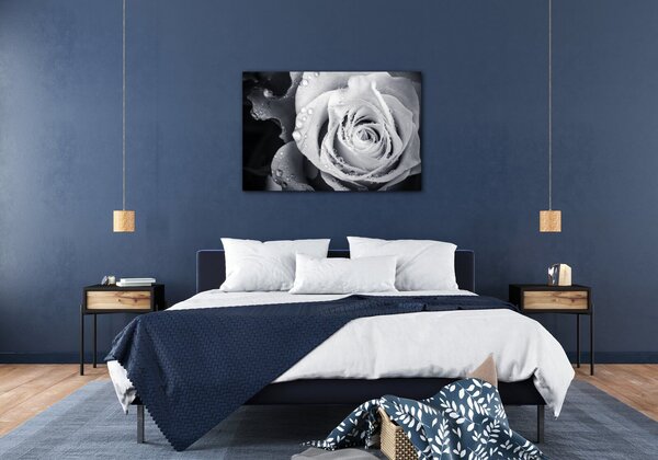 Impresi Tablou Black and white rose with drops of water - 60 x 40 cm