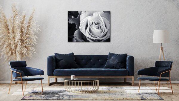 Impresi Tablou Black and white rose with drops of water - 70 x 50 cm