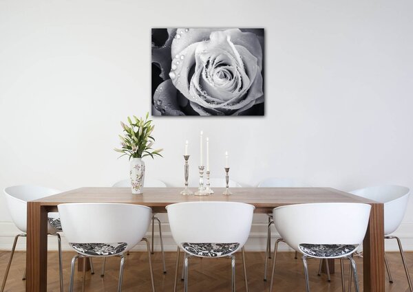 Impresi Tablou Black and white rose with drops of water - 90 x 70 cm