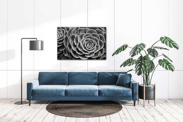 Impresi Tablou Black and white blossom - 60 x 40 cm