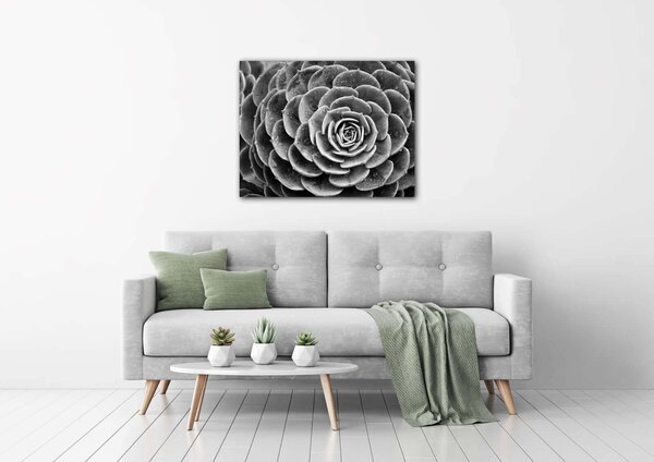 Impresi Tablou Black and white blossom - 90 x 70 cm