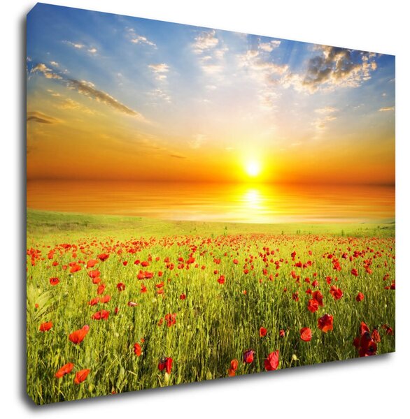 Impresi Tablou Poppies field - 70 x 50 cm