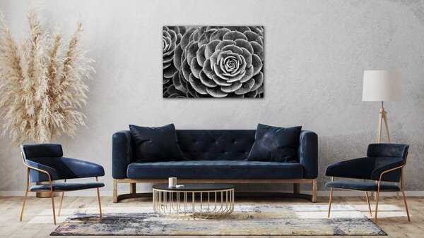 Impresi Tablou Black and white blossom - 70 x 50 cm