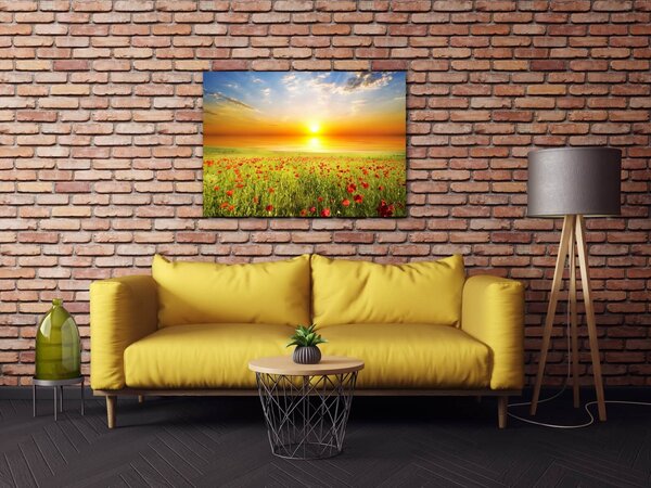 Impresi Tablou Poppies field - 70 x 50 cm