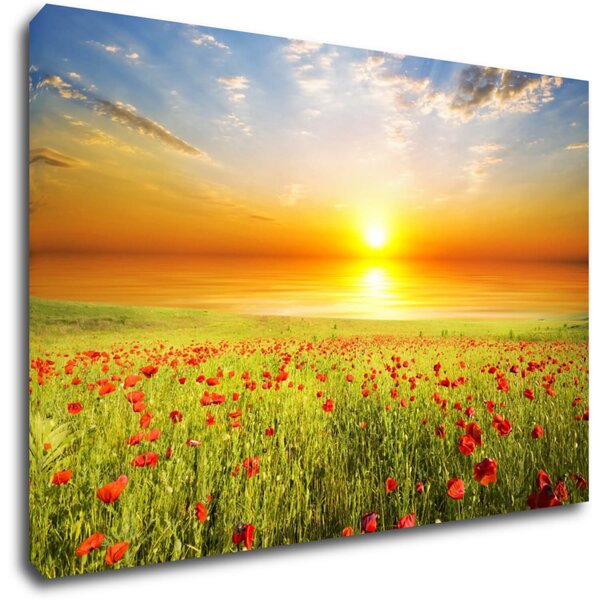 Impresi Tablou Poppies field - 60 x 40 cm