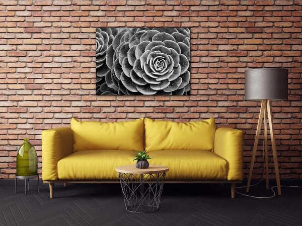 Impresi Tablou Black and white blossom - 70 x 50 cm
