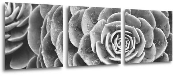 Impresi Tablou Black and white blossom - 90 x 30 cm (3-piese)