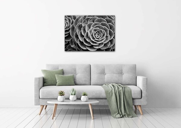 Impresi Tablou Black and white blossom - 70 x 50 cm