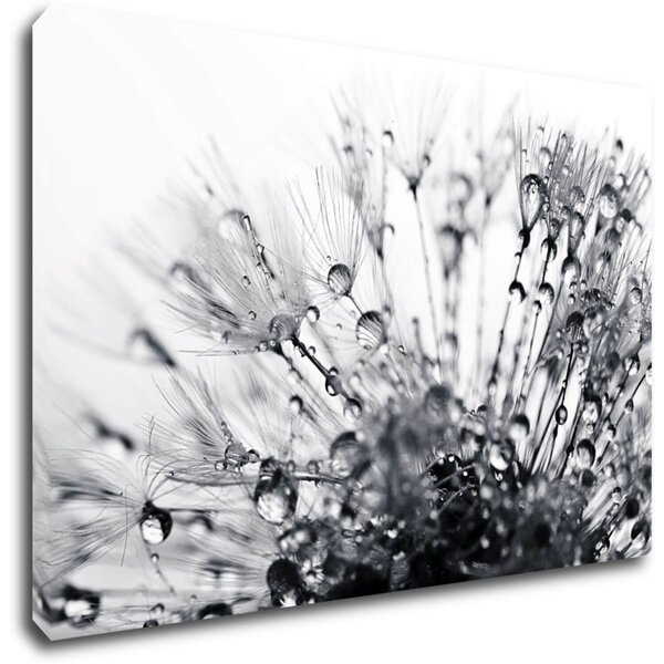 Impresi Tablou Flower with little drops of water - 60 x 40 cm