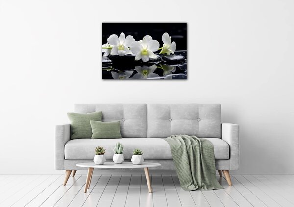 Impresi Tablou White orchids black background - 60 x 40 cm