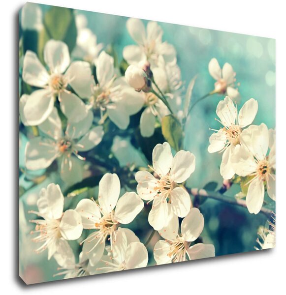 Impresi Tablou Blue background cherry blossom - 60 x 40 cm
