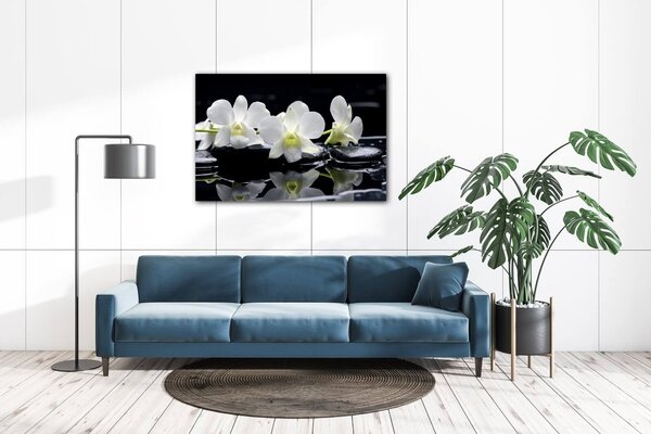 Impresi Tablou White orchids black background - 60 x 40 cm