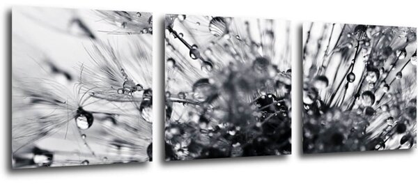 Impresi Tablou Flower with little drops of water - 90 x 30 cm (3-piese)