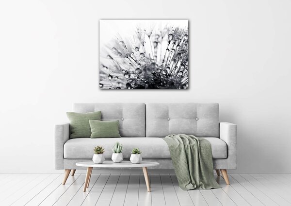 Impresi Tablou Flower with little drops of water - 90 x 70 cm