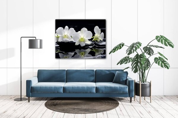 Impresi Tablou White orchids black background - 90 x 70 cm