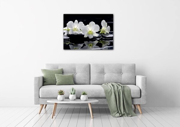 Impresi Tablou White orchids black background - 70 x 50 cm