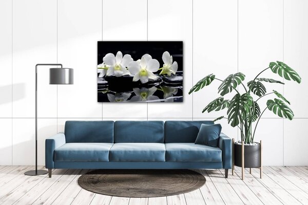 Impresi Tablou White orchids black background - 70 x 50 cm