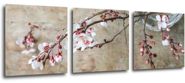 Impresi Tablou Pink blossom - 90 x 30 cm (3-piese)