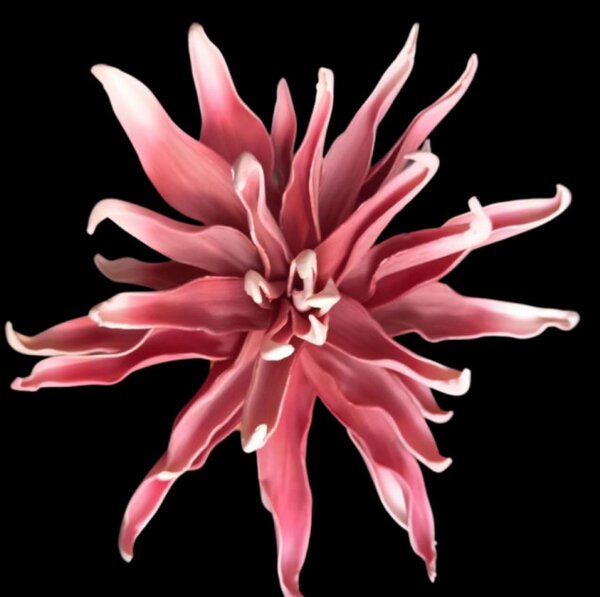 Floare decorativa ,Dalie roz D40cm