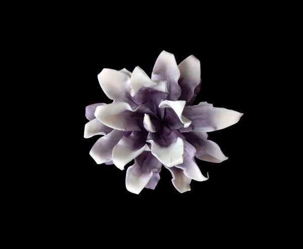 Floare decorativa Echeveria , lila -alb L80cm,foam