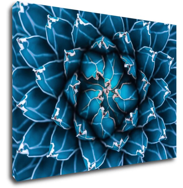 Impresi Tablou Blue blossom - 70 x 50 cm