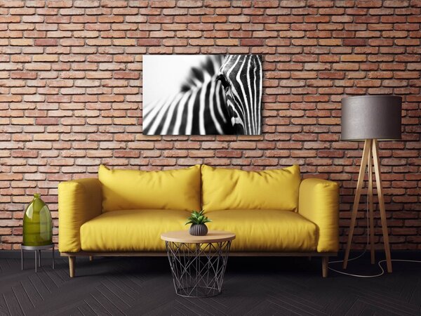 Impresi Tablou Zebra detail - 60 x 40 cm