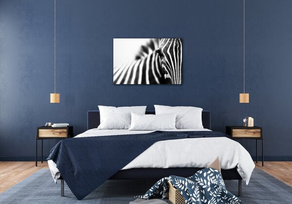 Impresi Tablou Zebra detail - 60 x 40 cm