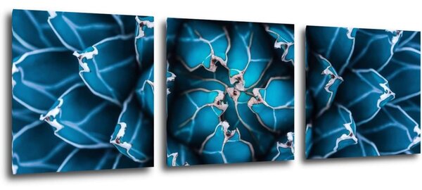 Impresi Tablou Blue blossom - 90 x 30 cm (3-piese)