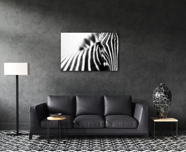 Impresi Tablou Zebra detail - 60 x 40 cm