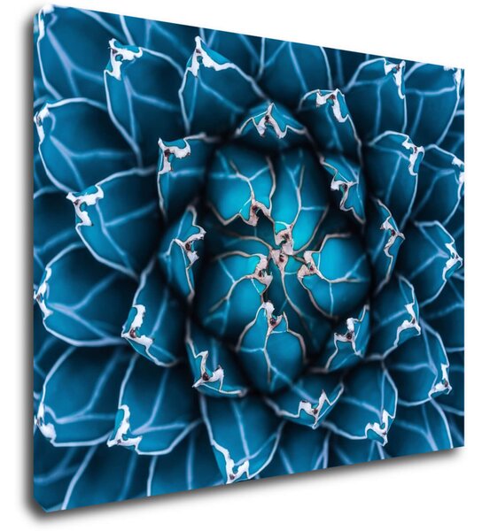 Impresi Tablou Blue blossom - 90 x 70 cm