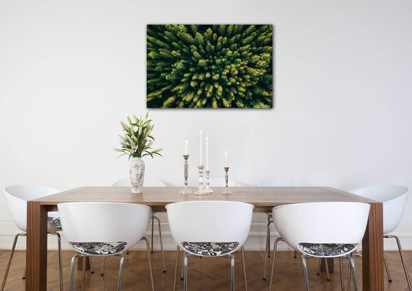 Impresi Tablou Forest - 60 x 40 cm