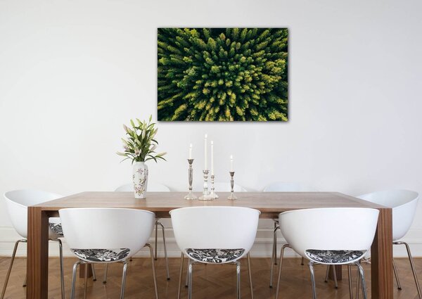 Impresi Tablou Forest - 70 x 50 cm