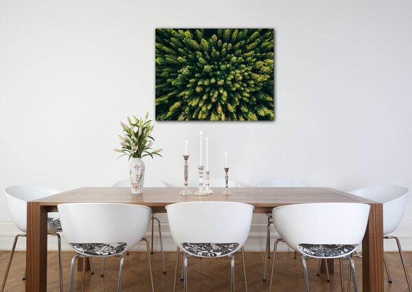 Impresi Tablou Forest - 90 x 70 cm
