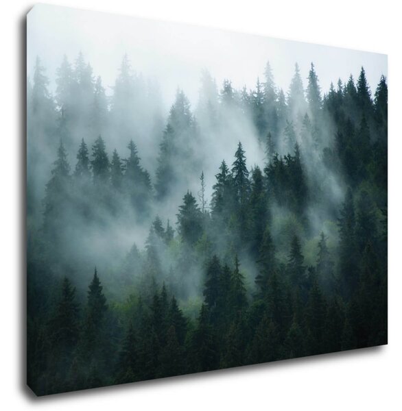 Impresi Tablou Fogy forest - 70 x 50 cm