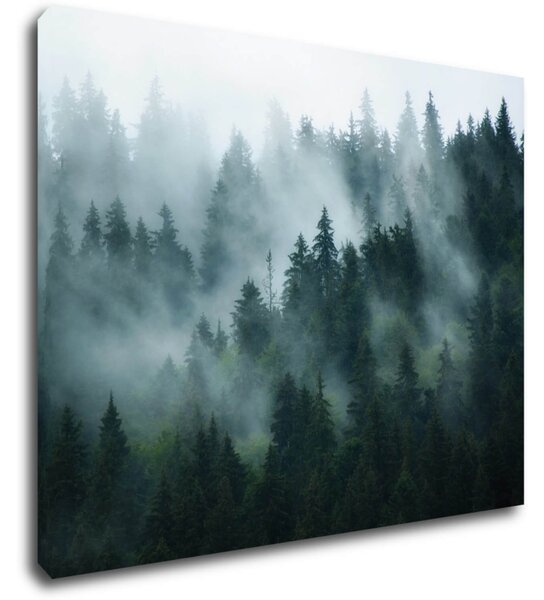 Impresi Tablou Fogy forest - 90 x 70 cm