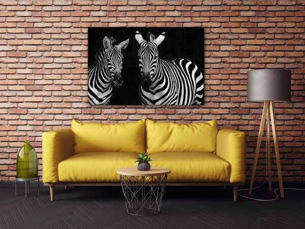 Impresi Tablou Duo zebras black and white - 60 x 40 cm
