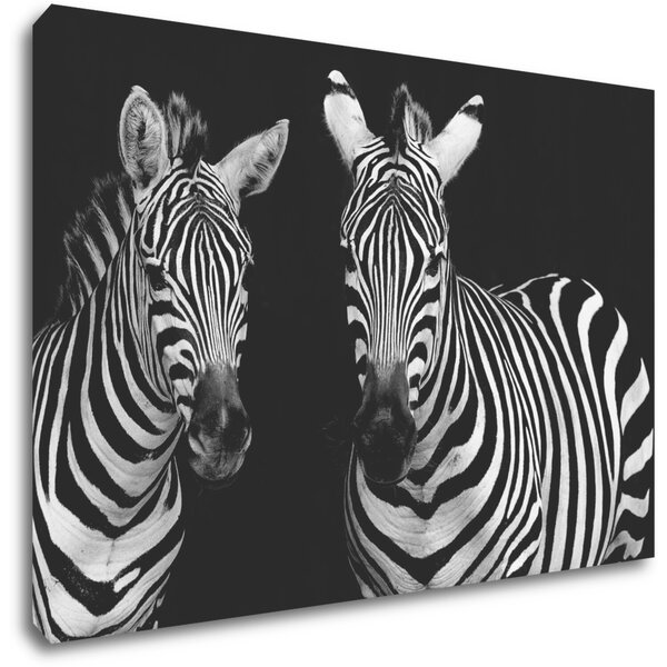 Impresi Tablou Duo zebras black and white - 60 x 40 cm