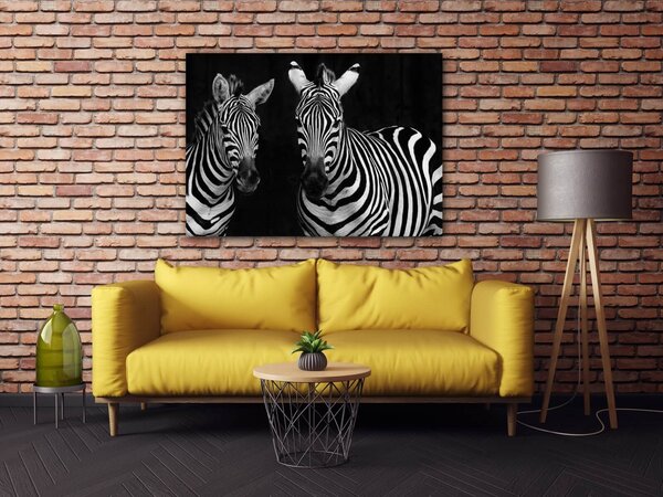 Impresi Tablou Duo zebras black and white - 70 x 50 cm