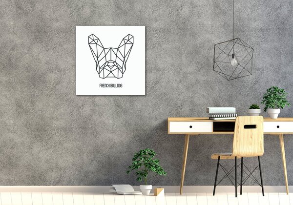 Impresi Tablou French Bulldog White Background - 40 x 40 cm