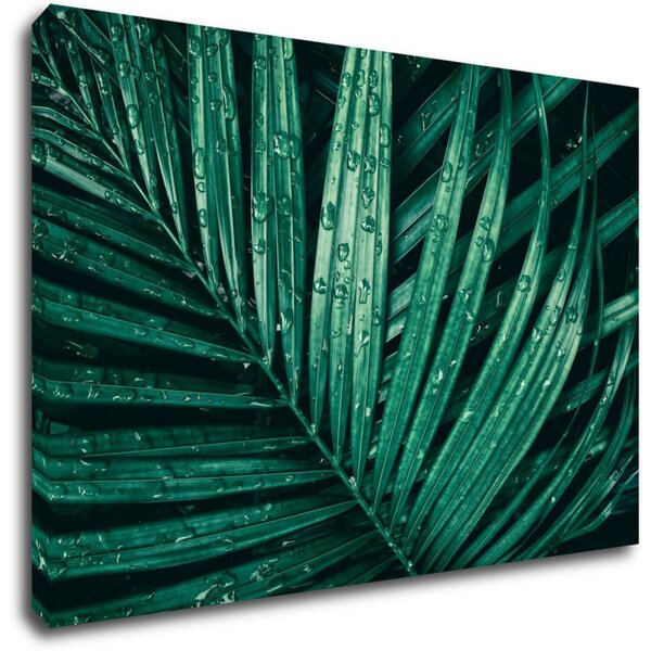 Impresi Tablou Green leaf with drops of water - 60 x 40 cm