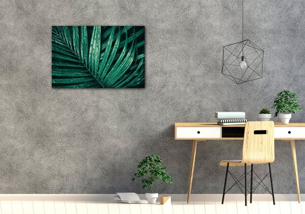 Impresi Tablou Green leaf with drops of water - 60 x 40 cm