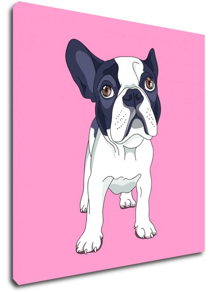 Impresi Tablou Frenchie pink background - 20 x 20 cm