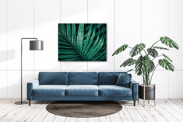 Impresi Tablou Green leaf with drops of water - 90 x 70 cm