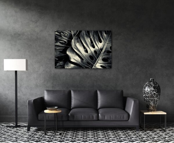 Impresi Tablou Black and white leafs - 60 x 40 cm