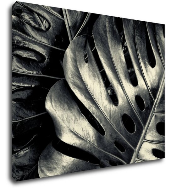 Impresi Tablou Black and white leafs - 90 x 70 cm